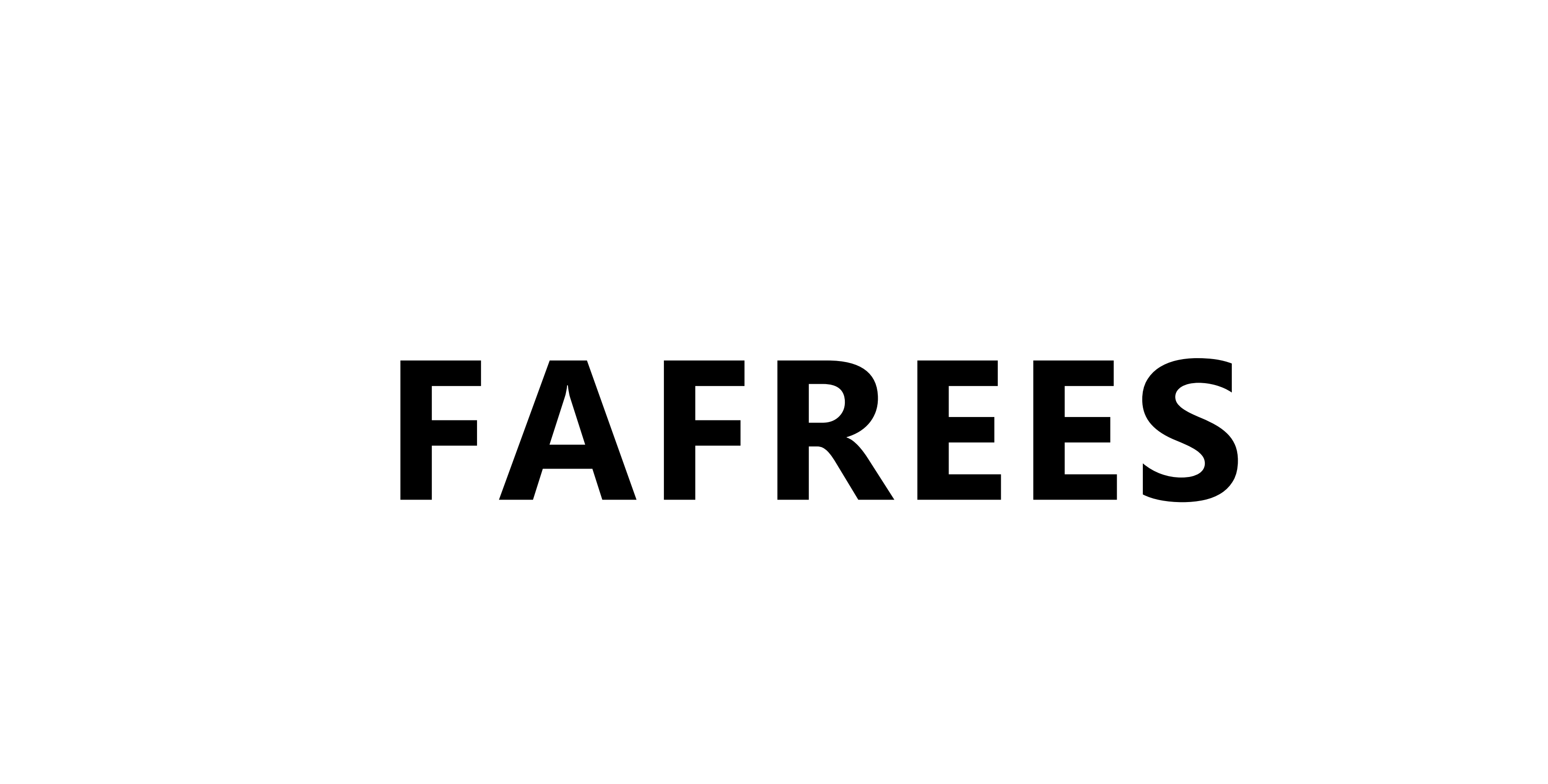 Stad E bike Fafrees Ebike stad-e-bike-fafrees-ebike