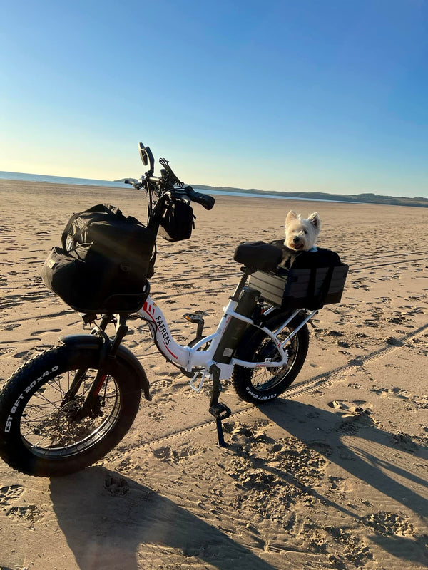 Galerij Afbeelding 9