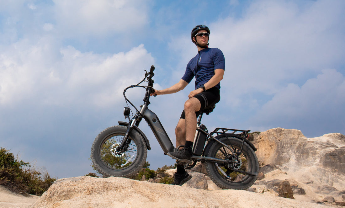 beeld van het rijden FF20 Polar