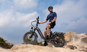 beeld van het rijden FF20 Polar